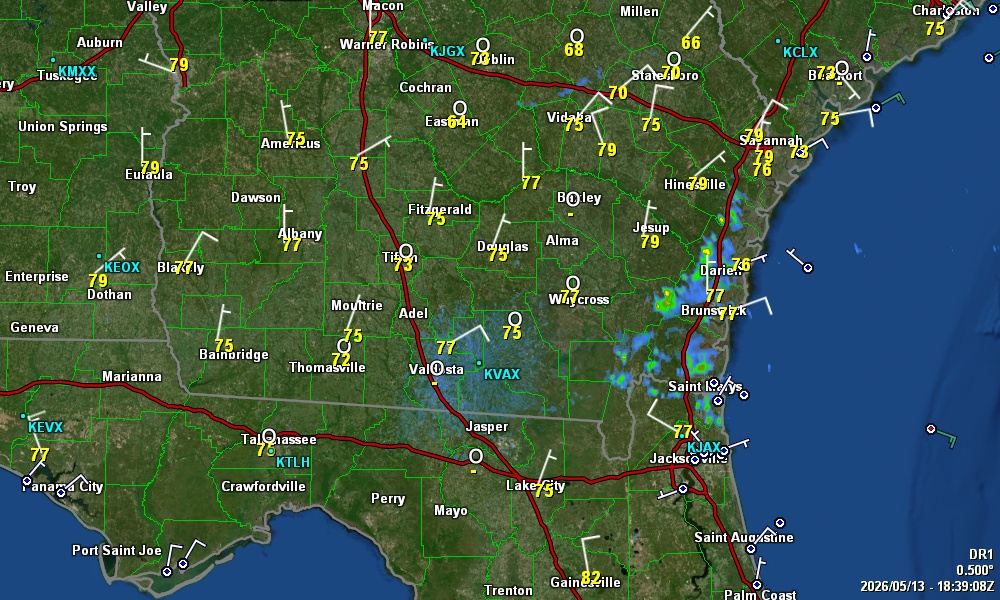 Radar view for SE GA & NE FL from Savannahpat